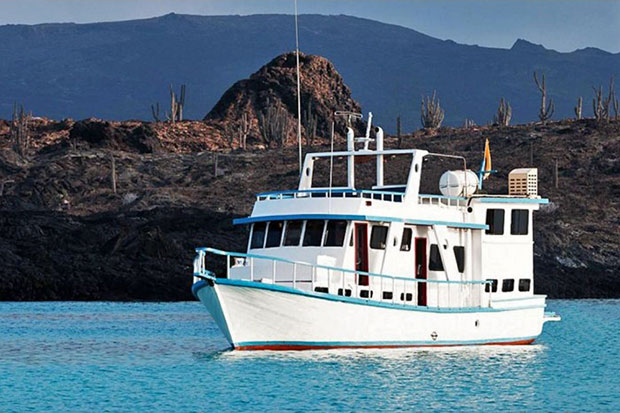 Flamingo tourist class yacht